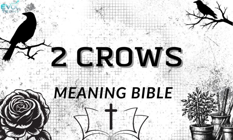 2-crows-meaning-bible