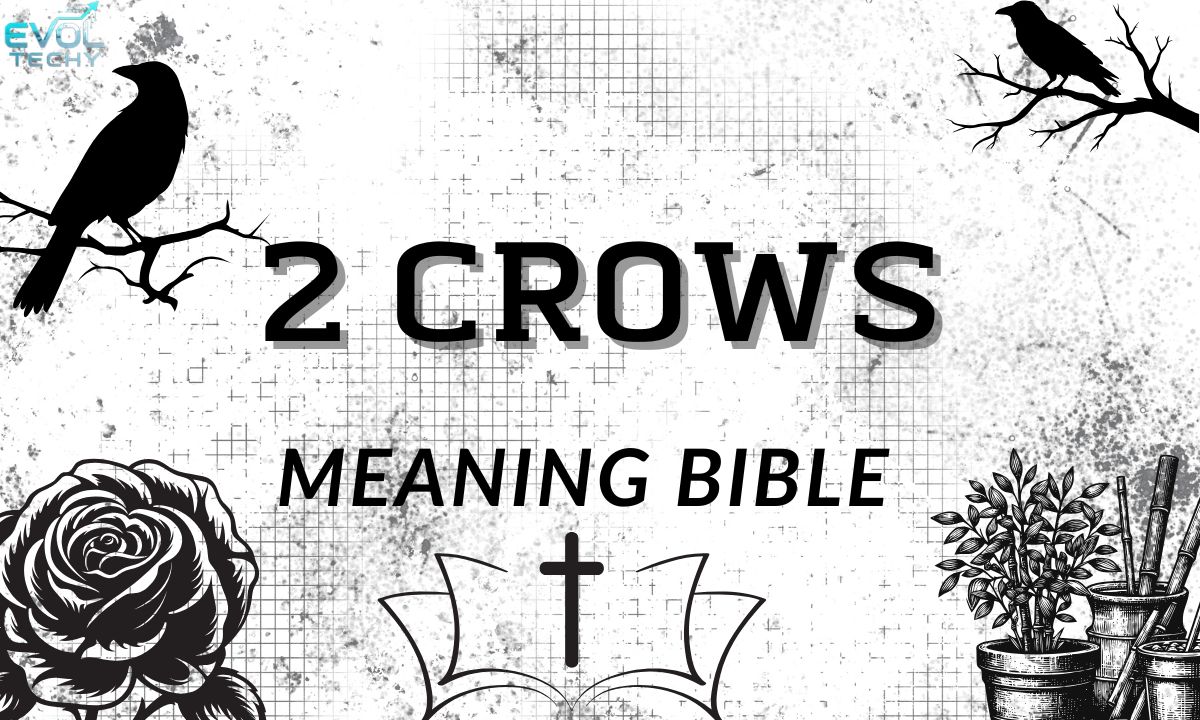 2-crows-meaning-bible