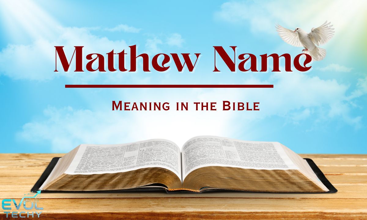 meaning-in-the-bible